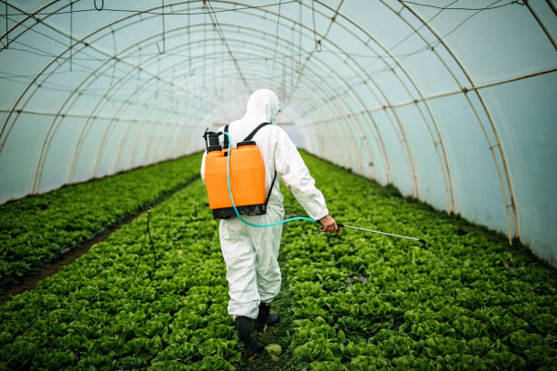Pest Prevention Services in St Leo, FL