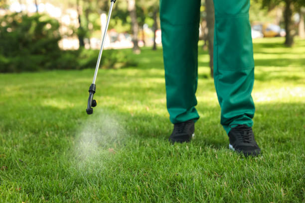 Best Flea Control Services  in St Leo, FL